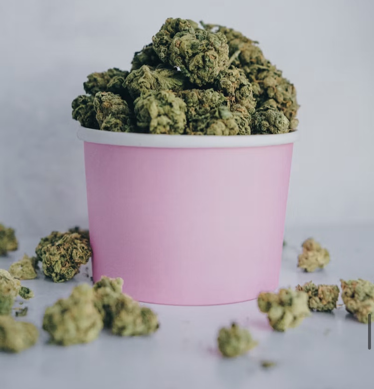 Forbidden Fruits Indoor — Fleur Small Bud Économique