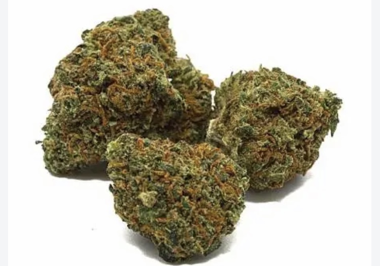 Girl Scout Cookies Indoor — Fleur Small Bud Économique