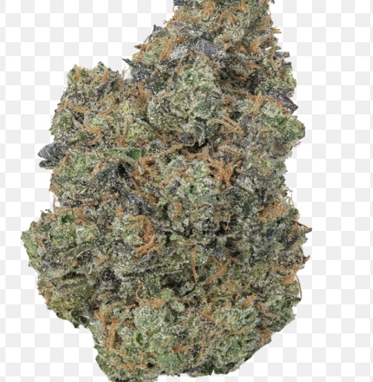 White Truffle Hydro — Fleur Big Bud Premium
