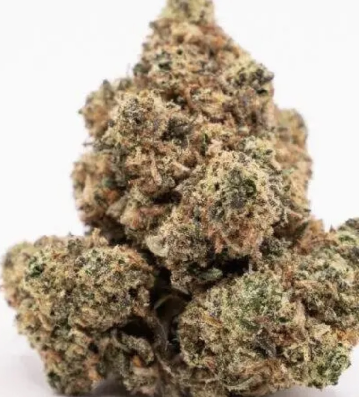 Amnesia 2.0 Hydro — Fleur Big Bud Premium