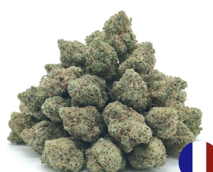 Ice Cream Cake Indoor — Fleur Small Bud Économique