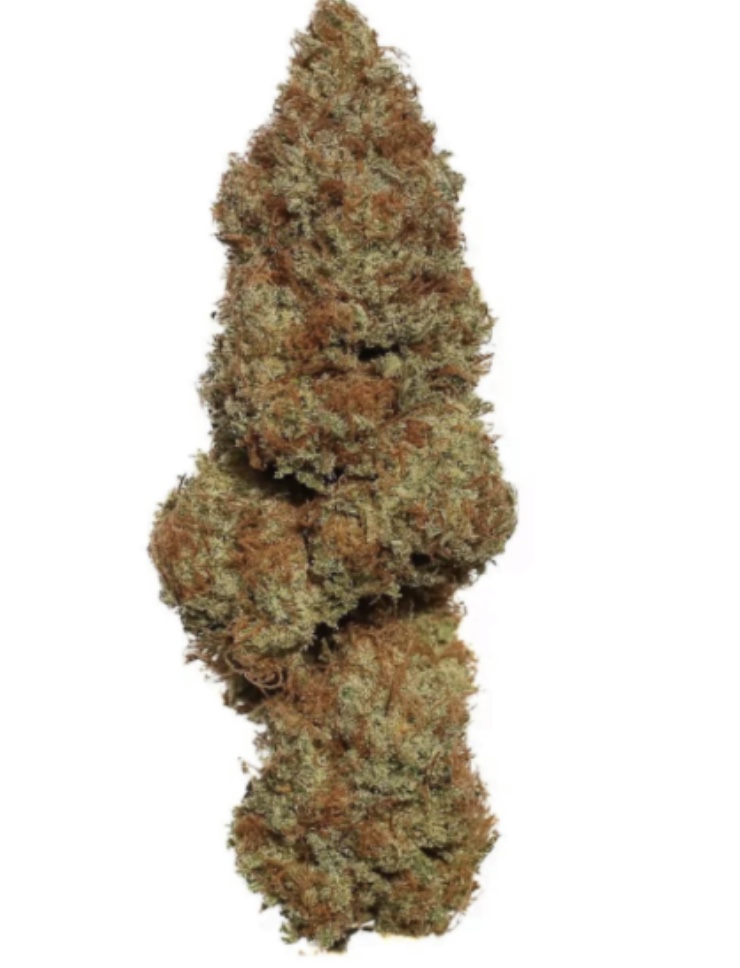 Bubble Cheese Hydro — Fleur Big Bud Premium